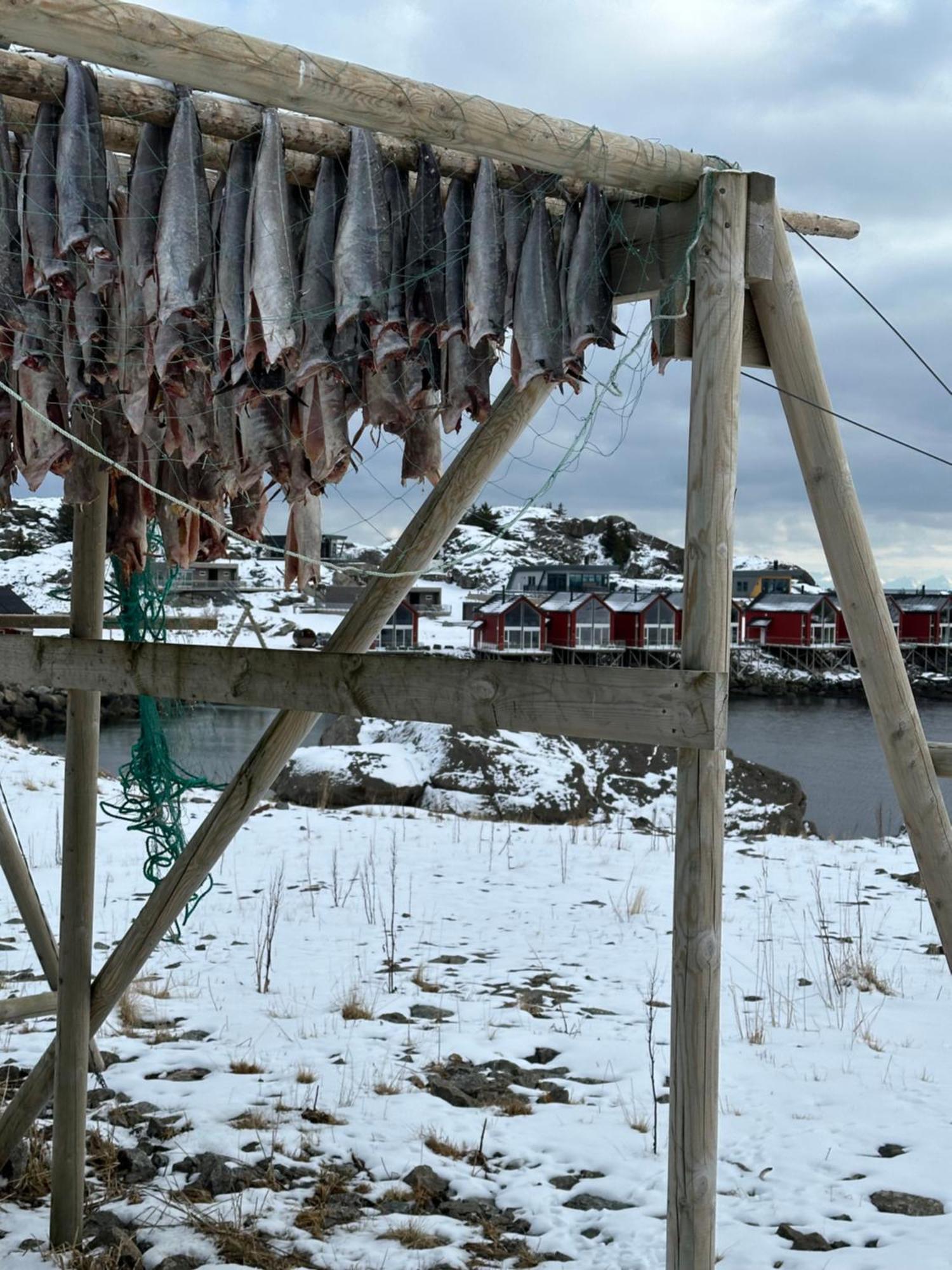 Superior Cabin Ballstad Lofoten מראה חיצוני תמונה